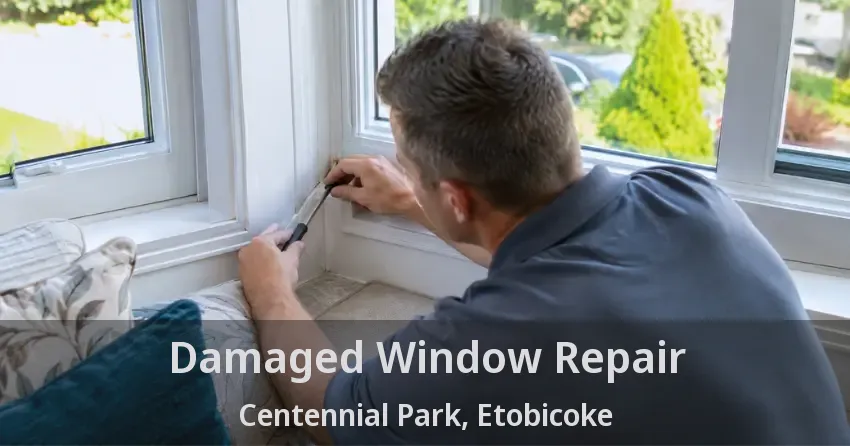 Damaged Window Repair Centennial Park, Etobicoke - ON