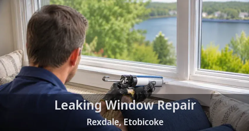 Leaking Window Repair Rexdale, Etobicoke - ON